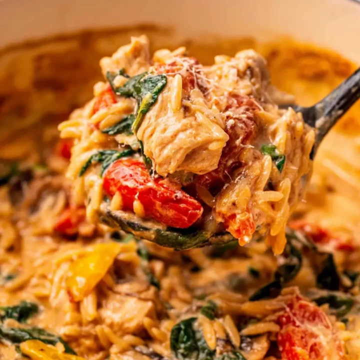 Sun-Dried Tomato Chicken Orzo Skillet: A Flavorful One-Pan Meal